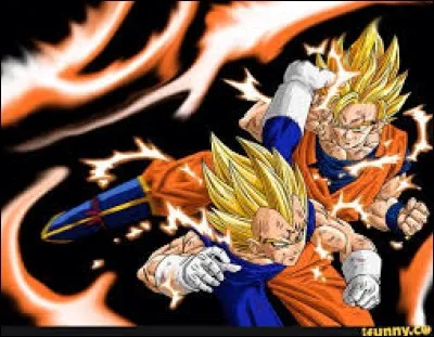 Qui sont les personnages qui sont en train de se battre ?