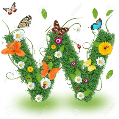 W&W sont des DJs ; combien sont-ils ?