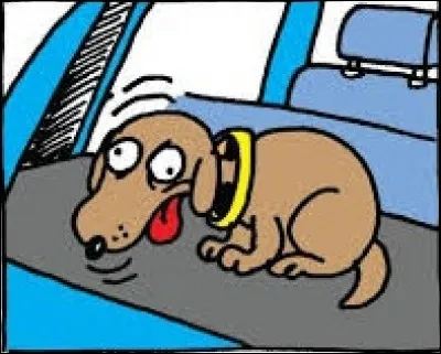 Quel verbe employez-vous pour signaler que vous êtes d'accord ?