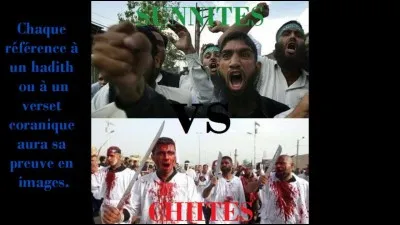 Pour quelle histoire les musulmans se sont-ils repartis en deux familles ?