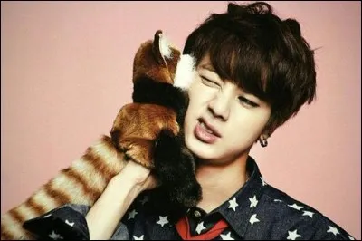 Qui est l'idole de Jin ?