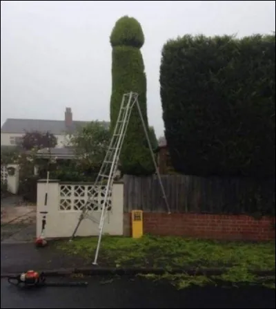 Voilà un jardinier facétieux pour le moins, et courageux car c'est du travail, ou alors on a simplement affaire à un personnage... ?