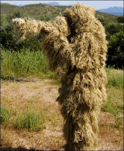 Qu'est-ce que ce monstre tout poilu en pleine campagne ?