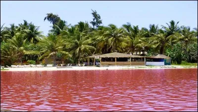 La couleur du lac « Retba », surnommé « Lac Rose », est situé à 35 kilomètres au nord-est de Dakar, la capitale sénégalaise. D'où provient la couleur de ce lac ?