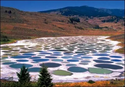 Situé au nord-ouest d'Osoyoos, en Colombie Britannique, le « Spotted Lake » ("lac tacheté" en français) se couvre tous les étés de taches multicolores. Dans quel pays se situe cette province ?