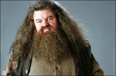 Quel(le) hibou (ou chouette) envoie le message pour la libération d'Hagrid à Azkaban à la fin du film ?