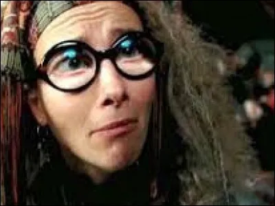Quel est le prénom du professeur Trelawney ?
