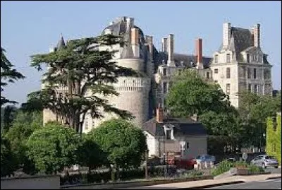 Ville Angevine, dans le Saumurois, Brissac-Quincé se situe en région ...