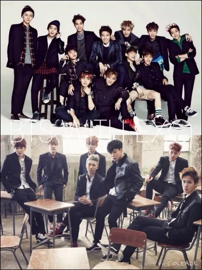 Lequel est fan d'EXO ?