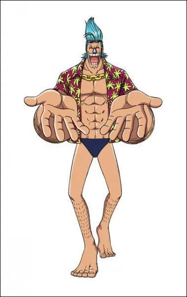 Quel est le nom du navire qu'il a construit pour les Chapeaux de Paille ?