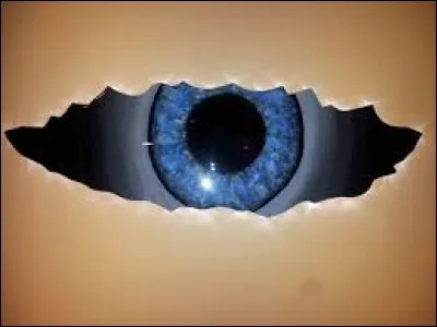 D'après l'épisode, qui s'est échappé ?