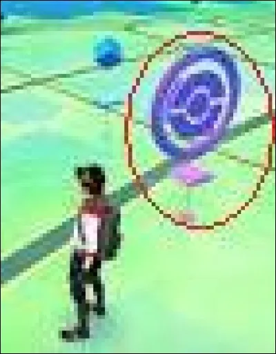 Dans "Pokémon GO", comment s'appelle ceci ?
