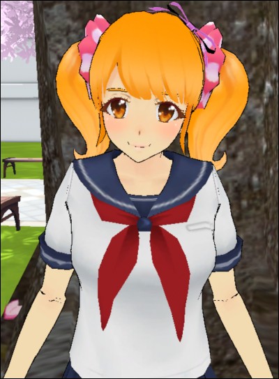 Le "nom" de cette fille est...