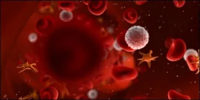 Quelles globules sont en nombre insuffisant chez un anémique ?