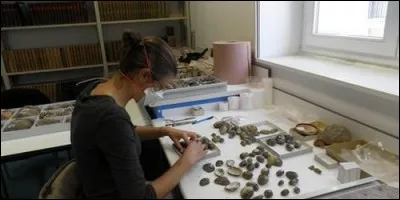 Qu'est-ce que la malacologie ?