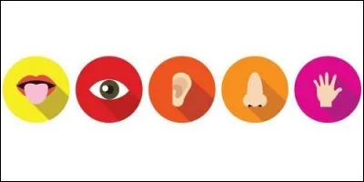 Lequel de ces sens est olfactif ?