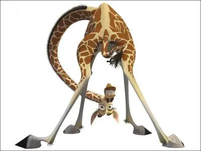 Qui double Melman dans Madagascar ?