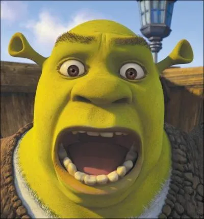 Qui double Shrek dans le film du mme nom ?