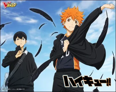 Pourquoi Hinata et Kageyama ont-ils été exclus du club temporairement ?