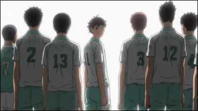 Quel est le surnom du nouveau joueur d'Aoba Josai ?