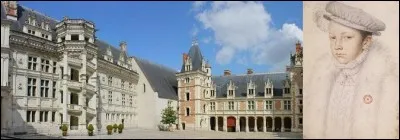 Laissons la guerre de Cent Ans, il y a eu beaucoup de capitales comme Paris, Troyes, Chinon Allons directement dans l'année 1528. A cette date, François 1e rend à Paris son titre de capitale de la France. Jusquen 1588, Paris sera, aussi, la capitale de ses successeurs. Mais, il y a eu une exception, un roi alla voir ailleurs !
Quel roi décida de s'installer à Blois ?