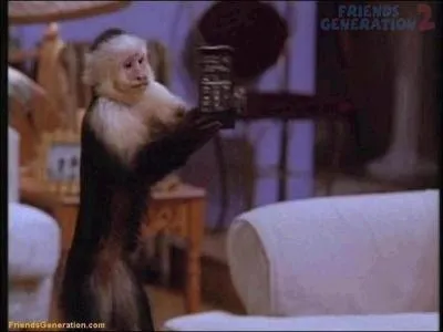 Marcel avale une lettre du scrabble, laquelle ?