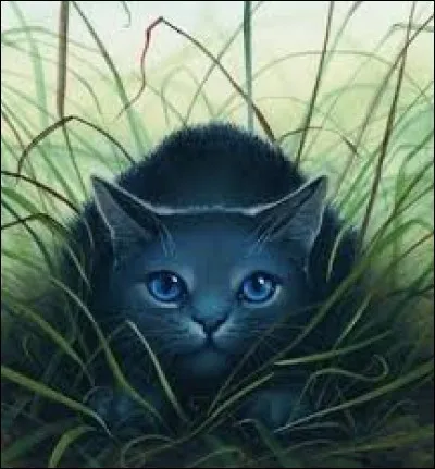 Qui ont été les mentors d'Étoile Bleue ?