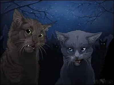 À quel clan appartient l'apprenti qu'elle rencontre à sa première assemblée ?