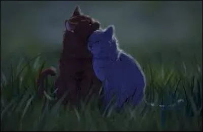 Qui est le frère de celui-ci ?