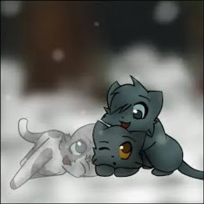 En enfreignant le code du guerrier elle accouche de chatons dont il est le père ; comment se nomment-ils ?