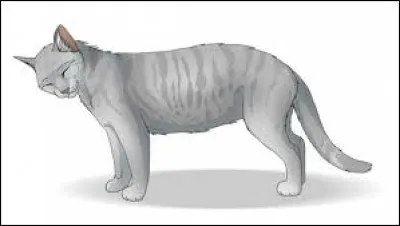 Qui, dans le clan du Tonnerre, aimait Étoile Bleue et s'est dévoué pour l'aider en prétendant qu'il était le père des petits ?