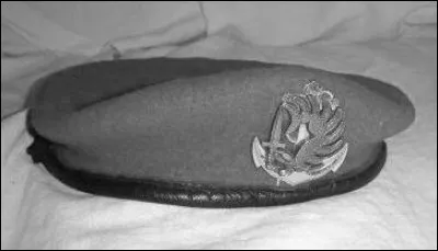 De quelle couleur est le béret des parachutistes des troupes de la marine ?