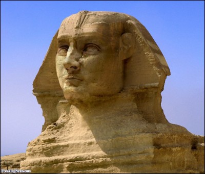 De quelle couleur était la fleur arborée par un président français surnommé : « Le Sphinx » ?