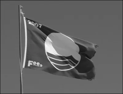 De quelle couleur est le drapeau attribué à certains ports de plaisance pour signifier une qualité environnementale exemplaire ?