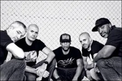 Le groupe de rap français IAM a chanté cette chanson.