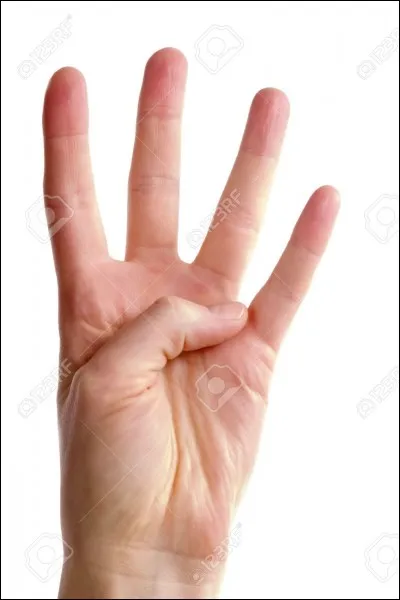 Quel est le quatuor des Marseillais ?