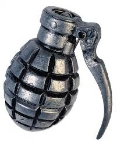 Laquelle de ces informations est vraie sur les grenades ?