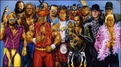 Les spectateurs de Canal + ont pu découvrir la WWF via l'émission