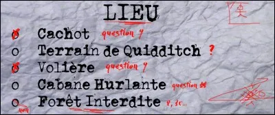 C'est l'heure du bilan. Indiquez s'il-vous plaît quel est le lieu de l'agression :