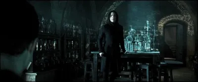 TÉMOIGNAGE d'un professeur de l'école : 

« Tous les jours depuis une semaine, un rôdeur baguenaude dans les cachots, vers 9h du matin Plusieurs fois déjà que l'on m'a volé des ingrédients de ma réserve personnelle ! »

Conclusion provisoire ?