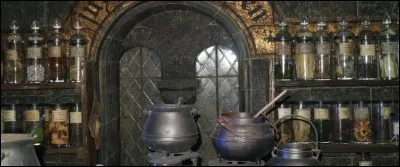 TÉMOIGNAGE du concierge de l'établissement : 

« Miss Robins a été pris en flagrant délit de vol dans l'armoire du professeur de potions ! C'est moi qui suis chargé du châtiment, je vous assure que tout Poudlard entendra les os craquer ! »

La conclusion, cette fois formelle :