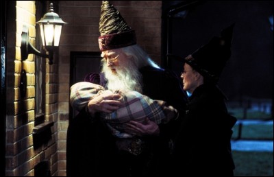 Dans "Harry Potter 1", que propose Dumbledore à McGonagall le soir où il amène Harry chez les Dursley ?