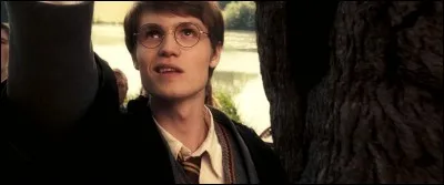Quel était le surnom de James Potter ?