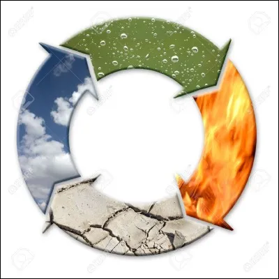 Quel élément te correspond le plus ?