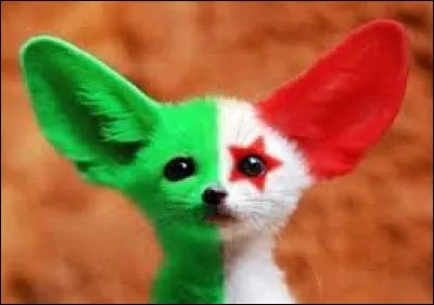Pour finir : quel animal symbolise l'Algérie ?
