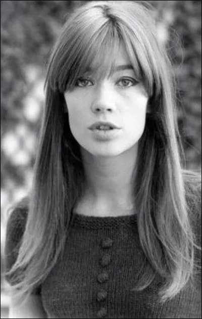 Quelle chanson de Françoise Hardy la marque Contrex a-t-elle choisie pour ses spots de pub ?