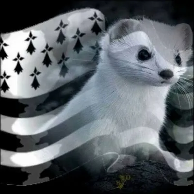 Quatre citations pour quatre personnes : 
Qui a dit : ''C'est blesser un peuple au plus profond de lui-même que de l'atteindre dans sa culture et sa langue.''