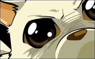 Comment s'appelle le chien d'Excel ?