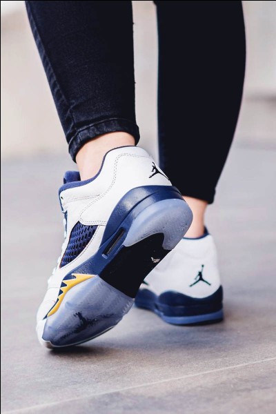 Quel est le nom de cette paire de baskets Jordan ?