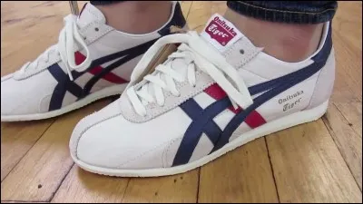 Quel est le nom de cette paire de baskets Asics ?